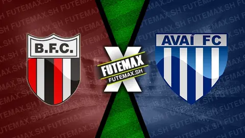 Assistir Botafogo-SP x Avaí ao vivo online HD 18/11/2024