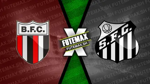 Assistir Botafogo-SP x Santos ao vivo online 19/09/2024