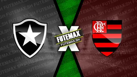 Assistir Botafogo x Flamengo ao vivo 18/08/2024 online