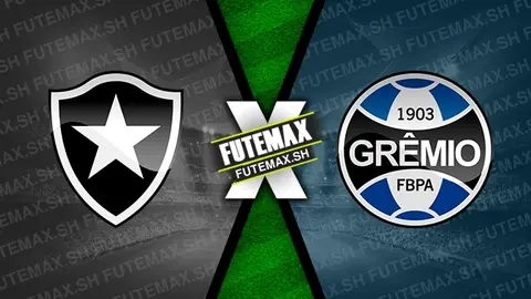 Assistir Botafogo x Grêmio ao vivo HD 28/09/2024 grátis