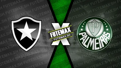 Assistir Botafogo x Palmeiras ao vivo HD 14/08/2024 grátis