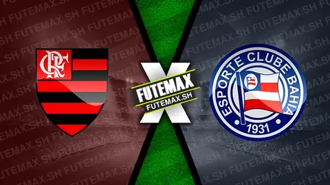 Assistir Flamengo x Bahia ao vivo online HD 12/09/2024