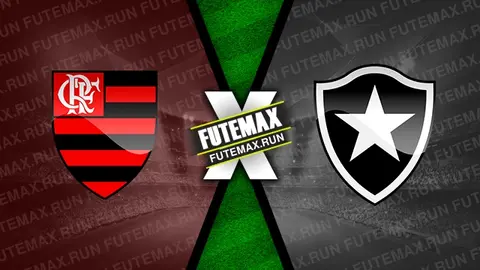 Assistir Flamengo x Botafogo ao vivo HD 28/04/2024 grátis