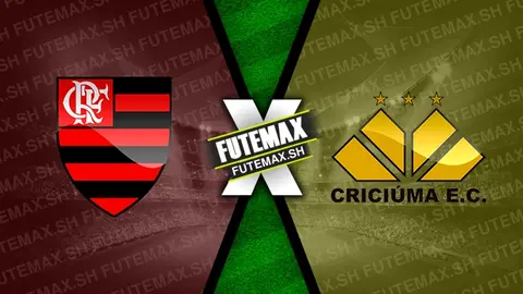 Assistir Flamengo x Criciúma ao vivo online HD 20/07/2024