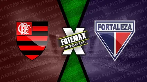 Assistir Flamengo x Fortaleza ao vivo HD 29/08/2024