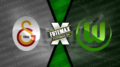 Assistir Galatasaray x Wolfsburg ao vivo HD 13/11/2024 grátis