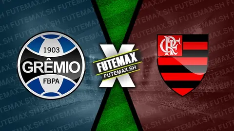 Assistir Grêmio x Flamengo ao vivo online 22/09/2024