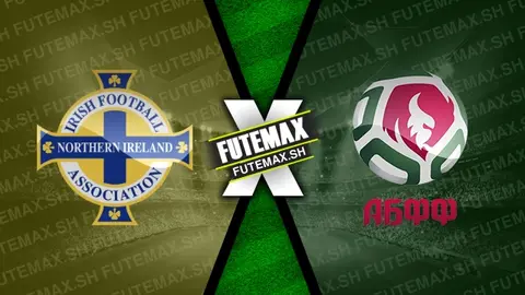 Assistir Irlanda do Norte x Belarus ao vivo HD 15/11/2024