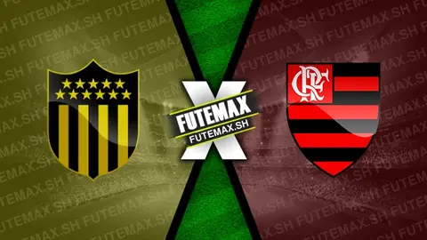 Assistir Peñarol x Flamengo ao vivo 26/09/2024 grátis