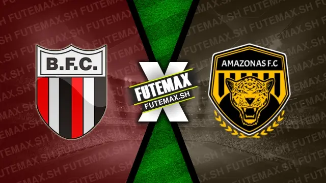 Assistir Botafogo-SP x Amazonas ao vivo online HD 12/07/2024