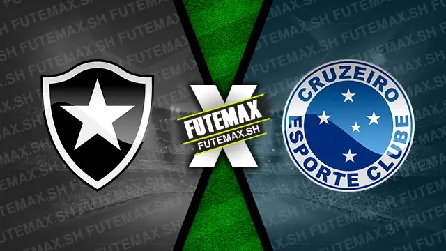 Assistir Botafogo x Cruzeiro ao vivo HD 27/07/2024 grátis