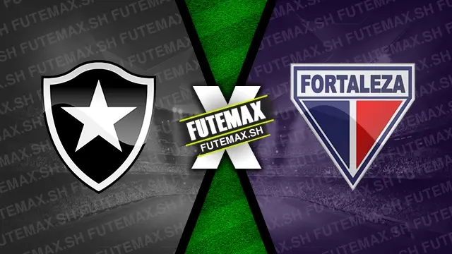 Assistir Botafogo x Fortaleza ao vivo online HD 31/08/2024