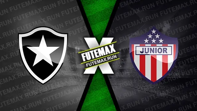 Assistir Botafogo x Junior Barranquilla ao vivo online HD 03/04/2024