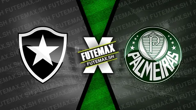 Assistir Botafogo x Palmeiras ao vivo online HD 17/07/2024