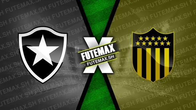 Assistir Botafogo x Peñarol ao vivo online HD 23/10/2024