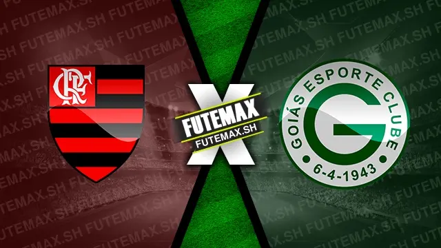 Assistir Flamengo x Goiás ao vivo online 23/10/2024