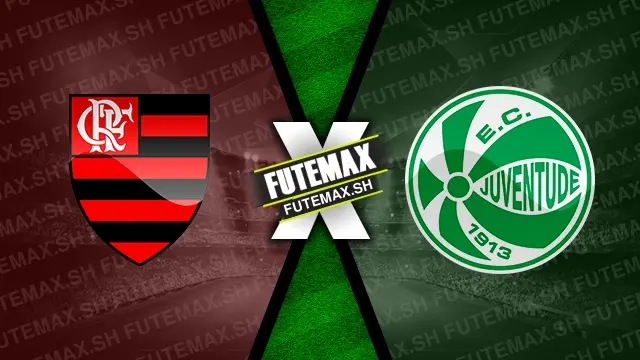 Assistir Flamengo x Juventude ao vivo 26/10/2024 grátis