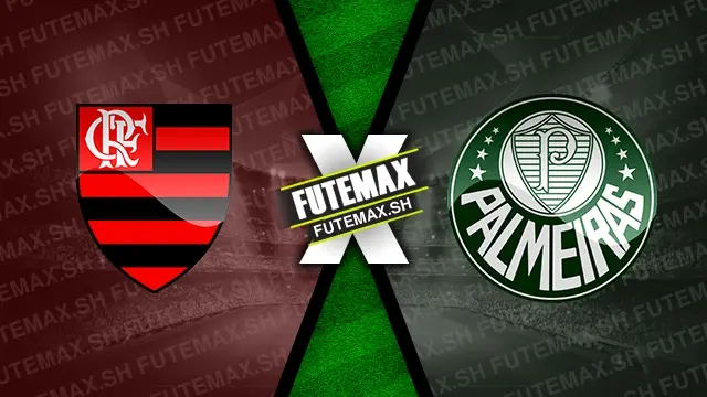 Assistir Flamengo x Palmeiras ao vivo online 11/08/2024