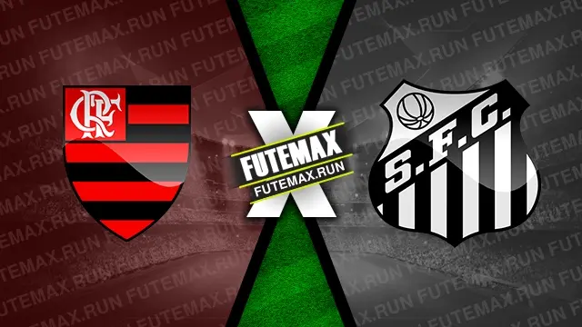 Assistir Flamengo x Santos ao vivo 29/04/2024 online
