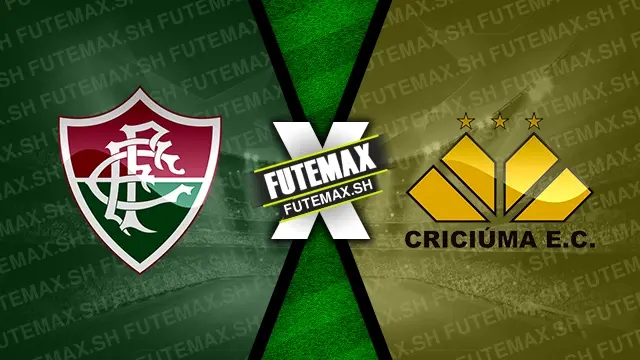 Assistir Fluminense x Criciúma ao vivo online 26/11/2024