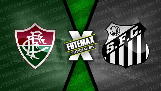 Assistir Fluminense x Santos ao vivo 12/12/2024 online