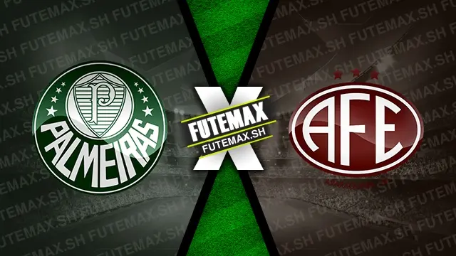 Assistir Palmeiras x Ferroviária ao vivo 09/11/2024 grátis