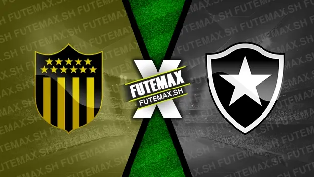 Assistir Peñarol x Botafogo ao vivo 30/10/2024 online